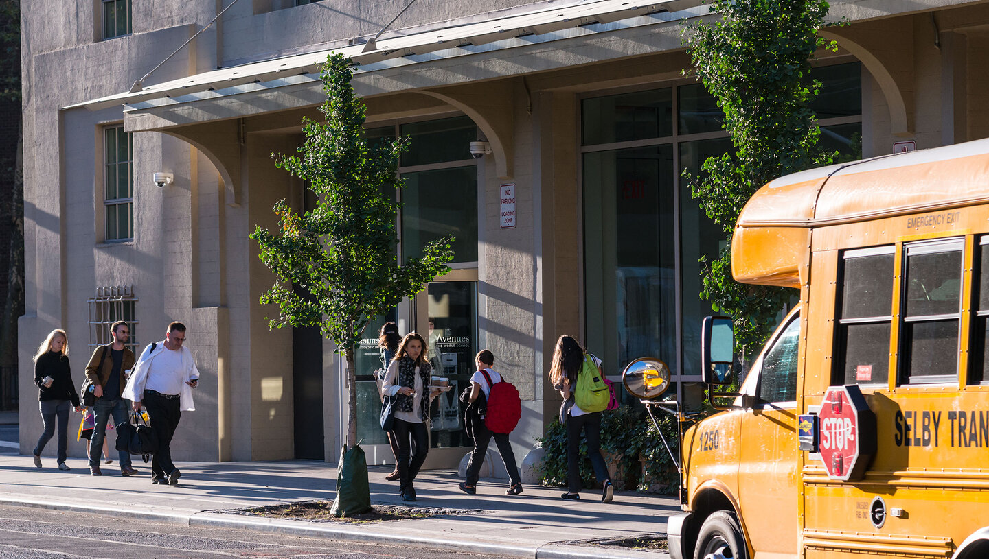 The Cortland Avenues : The World School